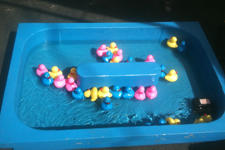 Duck Pond Duck Pond