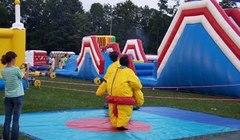 Sumo Wrestling Sumo Wrestling